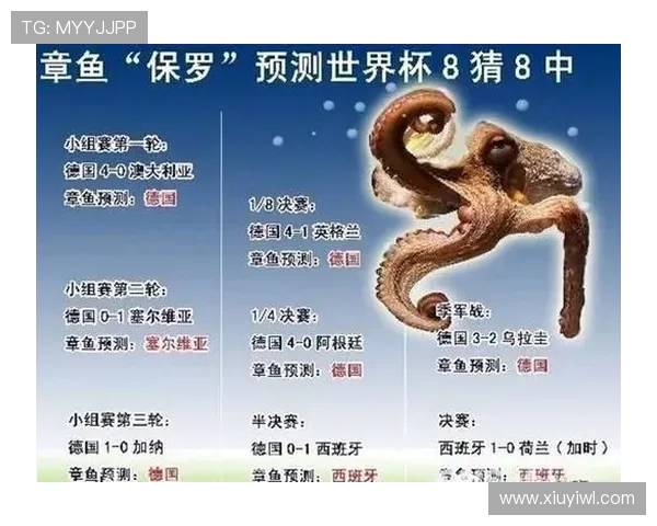 世界杯A组四队出线机会数据分析